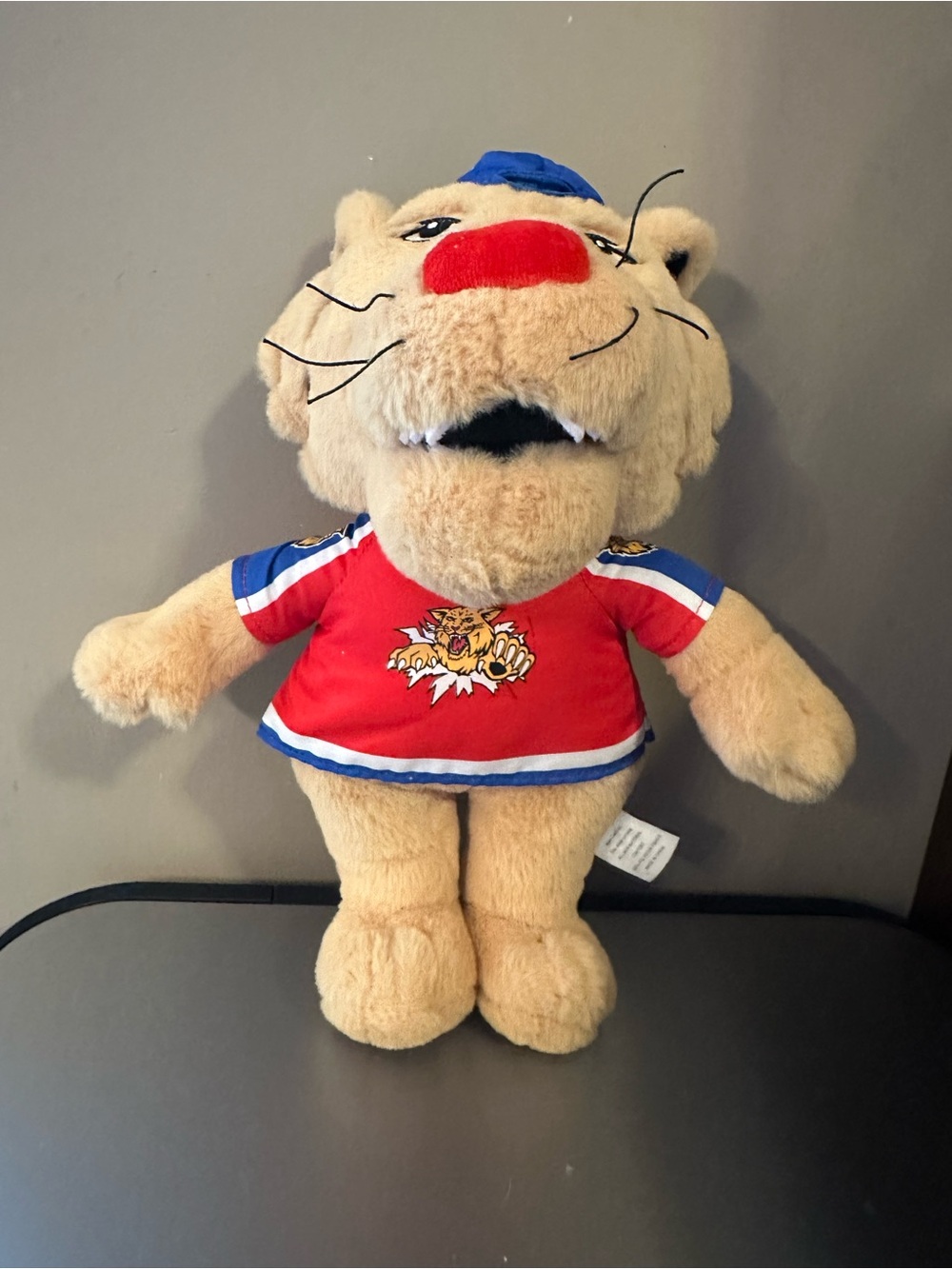 Moncton Wildcats Mascot Wild Willie